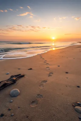 Footprints in Sand at Beach Sunrise