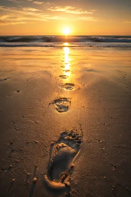 Footprints in Wet Sand at Sunrise