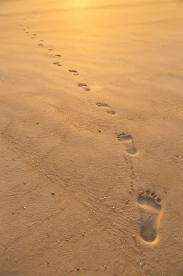 Footprints in Sand at Sunrise