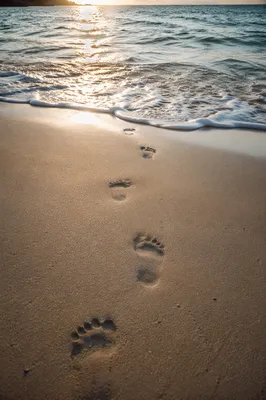Footprints in Sand at Sunrise Beach