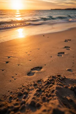 Peaceful Footprints on Beach at Sunrise