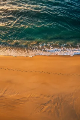 Footprints Along Sunrise Beach Shoreline