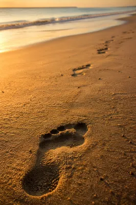 Footprints in Golden Sand at Sunrise