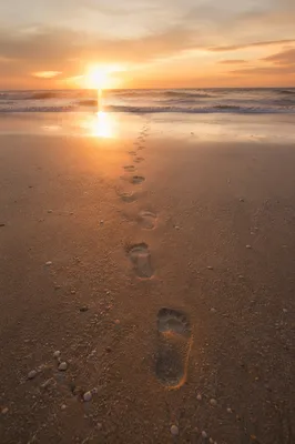 Footprints in Sand at Peaceful Sunrise Beach