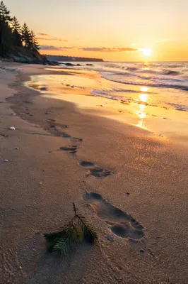 Footprints Toward Sunrise on Quiet Beach