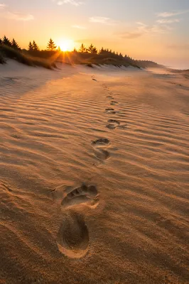 Footprints in Golden Sand at Sunrise