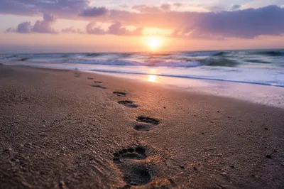 Footprints in Sand at Peaceful Beach Sunrise