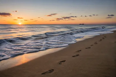 Sunrise Footprints Along Peaceful Sandy Shore