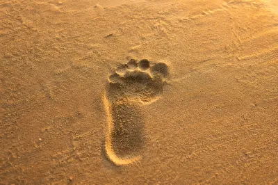 Bare Footprint in Golden Sunrise Sand