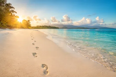 Footprints on Tropical Beach at Sunrise