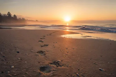 Footprints in Sand at Peaceful Beach Sunrise