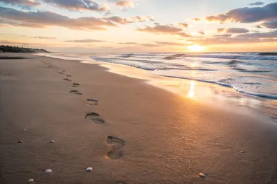 Footprints in Sand at Peaceful Sunrise