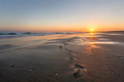Footprints on Sandy Beach at Sunrise