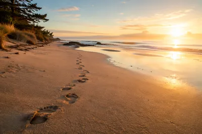 Footprints in Sand at Sunrise Beach