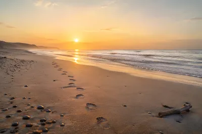 Footprints on Sandy Beach at Sunrise