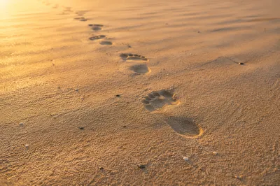 Footprints in Sand at Sunrise