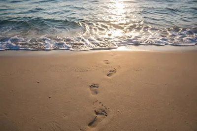 Footprints in Sand at Beach Sunrise