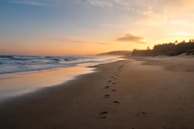 Footprints on Sunrise Beach with Evergreens