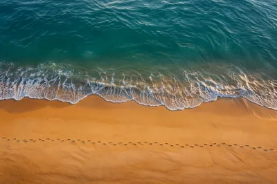 Footprints Along Sunrise Beach Shoreline