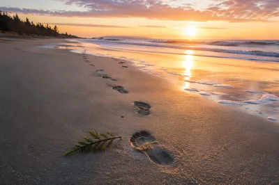 Footprints Toward Sunrise on Quiet Beach