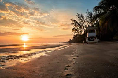 Footprints Leading to Sunrise Beach Horizon