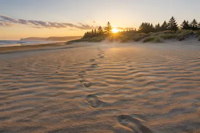 Footprints at Sunrise on Golden Beach