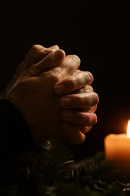 Candlelit Praying Hands with Evergreen Sprigs