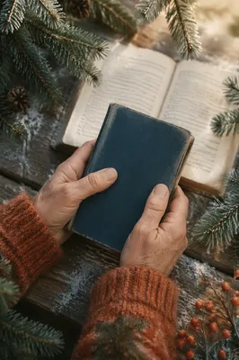 Weathered Hands Holding Bible Among Evergreens