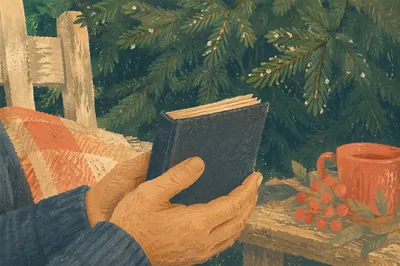 Weathered Hands Holding Bible by Evergreens