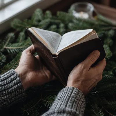 Hands Holding Bible Among Evergreen Branches