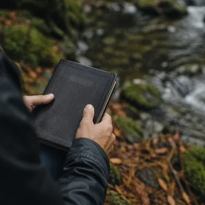 Hands Holding Bible in Evergreen Woodland