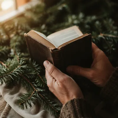 Hands Holding Bible on Evergreen Branches