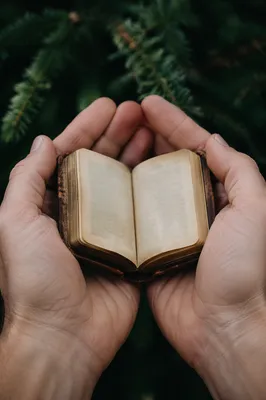 Hands Gently Holding a Worn Bible