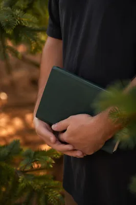 Hands Holding Green Bible in Evergreen Light