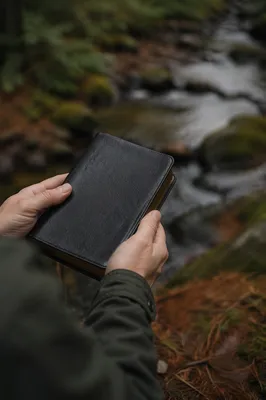 Hands Holding Bible in Evergreen Woodland