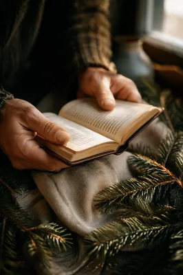 Hands Holding Bible Over Evergreen Branches