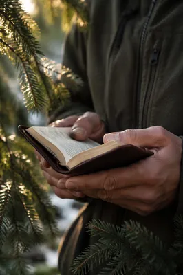 Weathered Hands Holding Bible in Evergreen Light