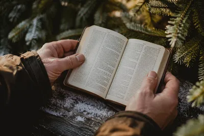 Weathered Hands Holding Bible in Evergreen