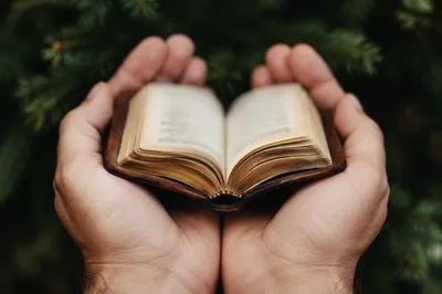 Hands Gently Holding a Worn Bible