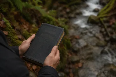 Hands Holding Bible in Evergreen Woodland