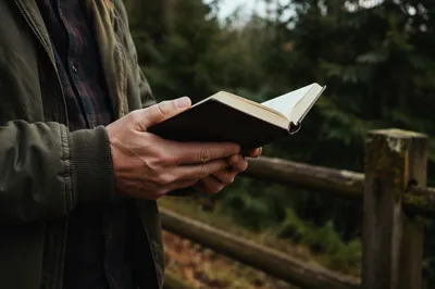 Hands Holding Bible in Evergreen Woodland