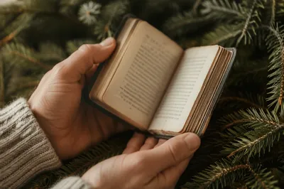 Hands Holding Bible Among Evergreen Branches