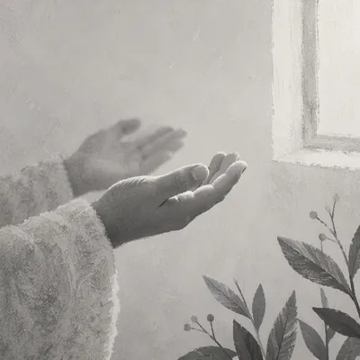 Open Hands in Soft Prayer Light