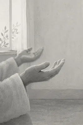 Open Praying Hands in Soft Window Light
