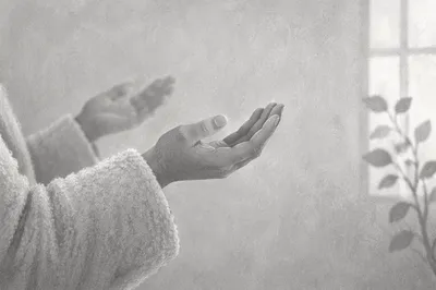 Open Hands in Soft Prayer Light