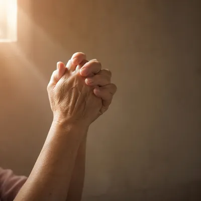 Older Hands Praying in Warm Soft Light