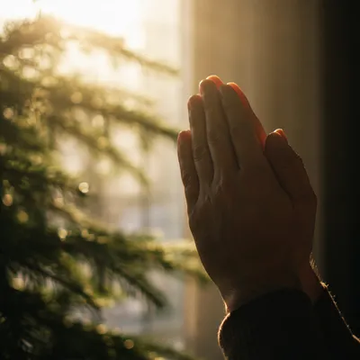 Praying Hands in Soft Morning Light