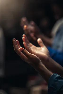 Open Hands in Soft Prayer Light