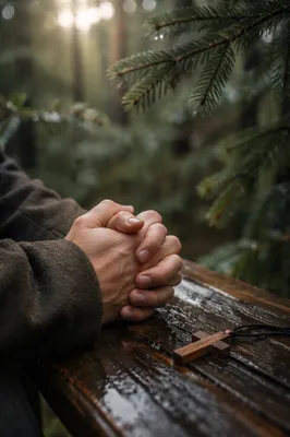 Praying Hands by Evergreen Forest Light