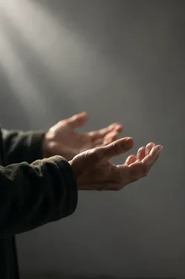 Praying Hands in Soft Evergreen Light